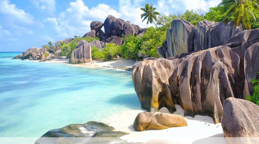 relax-and-learn-seychelles-home-sec3-img